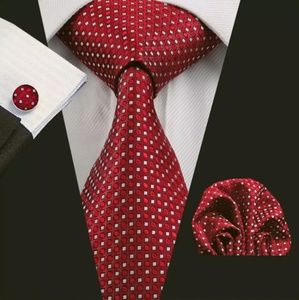 Men Neckties Sets